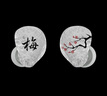 EPZ G30【免費(fèi)定制】高端游戲耳機(jī)入耳式有線HiFi音樂耳塞高保真電競無延遲聲卡級芯片專業(yè)競技耳麥 TYPEC接口【可免費(fèi)定制】咨詢客服了解 曬單實(shí)拍圖