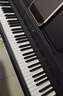 海倫臻雅H-2系列 電鋼琴逐級重錘88鍵殿堂級原聲鋼琴音色家用立式數碼 臻雅H-201【教學(xué)級】奢雅黑 曬單實(shí)拍圖