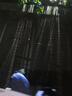 Navigare意大利小帆船女士全棉牛仔襯衫修身長(cháng)袖襯衣2331904506 藍 L  曬單實(shí)拍圖