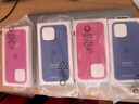 逸登龍[帶相機按鍵]蘋(píng)果iphone16pro手機殼液態(tài)硅膠promax全包防摔保護套magsafe磁吸plus簡(jiǎn)約高級新款 [牡丹色]一體相機按鍵*支持磁吸動(dòng)畫(huà)*送鋼化膜 iPhone16Pro 6 曬單實(shí)拍圖