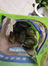 江船長(cháng) 冷凍鮑魚(yú) 凈重160g(18-22粒)袋裝 火鍋燒烤食材 海鮮生鮮 曬單實(shí)拍圖
