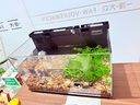 米家（MIJIA）智能生態(tài)魚(yú)缸還原自然生態(tài) 智能魚(yú)缸+濾芯套裝 曬單實(shí)拍圖