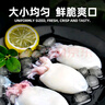 應魷盡魷 墨魚(yú)仔 新鮮魷魚(yú)仔小八爪免處理墨魚(yú)無(wú)冰小烏賊火鍋燒烤生鮮食材 【大號三去墨魚(yú)仔】 350g(凈重)  4袋（凈重2.8斤） 曬單實(shí)拍圖