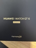 華為（HUAWEI）【七倉次日達】WATCH GT 6手表運動智能玄璣感知兩周續(xù)航藍牙通話向日葵定位男女AX智能5pro 46MM雅丹黑【送皮表帶+貼膜】 曬單實拍圖