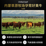 月盛齋【冰鮮牛肉】國產(chǎn)牛腿肉2斤 內蒙牛肉生鮮鮮肉 中華老字號 曬單實(shí)拍圖