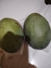 京鮮生 攀枝花凱特芒果 凈重3斤 帶箱3.5斤 單果400g+ 生鮮水果源頭直發(fā) 曬單實(shí)拍圖