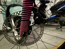 喜德盛（xds）xds ad350喜德盛ad350 25款公路車(chē)喜德盛公路車(chē)公路自行車(chē)喜德盛 2025款|車(chē)厘紫 700Cx480mm|身高165-175cm 曬單實(shí)拍圖
