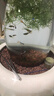 森森魚(yú)缸過(guò)濾器三合一內置小型水族箱過(guò)濾系統增氧泵XQP-1000F 15W 曬單實(shí)拍圖