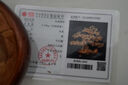 宋禮庭 SOGLYTIN發(fā)財樹(shù)純天然招財黃水晶擺件財寶樹(shù)客廳公司店鋪玄關(guān)喬遷開(kāi)業(yè)送禮 招財樹(shù)中號 曬單實(shí)拍圖
