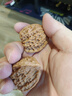 山中玉文玩核桃獅子頭悶尖手把件古玩麻核桃秋子核頭爸媽新年送禮物原色 【精配】進(jìn)階級(jí)41-42mm滿天星1對(duì) 曬單實(shí)拍圖