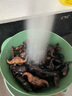 果心榴洪湖菱角新鮮老菱角生棱角老黑菱角凌角粉糯老菱角湖北特產(chǎn) 老菱角3斤 曬單實(shí)拍圖