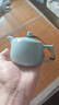 蘇氏陶瓷汝窯陶瓷泡茶壺開(kāi)片可養金線(xiàn)汝瓷井欄壺高檔禮盒裝180ml節日送禮 曬單實(shí)拍圖