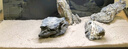 沃韋朗（VOONLINE）魚(yú)缸底砂魚(yú)缸沙子底沙石頭裝飾魚(yú)缸鋪底天然造景沙 尼羅河砂1KG 曬單實(shí)拍圖