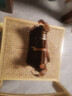 稻草人包包女包2025新款夏季實(shí)用百搭斜挎包老花通勤單肩包腋下包送女友 深棕色 曬單實(shí)拍圖