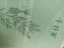 千纖草面膜抗皺緊致補水保濕控油絲瓜舒緩茶樹(shù)海藻面膜貼片式護膚男女 茶樹(shù)控油面膜 20片 曬單實(shí)拍圖