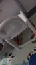哈比樹(shù) 兒童凳寶寶餐椅小凳子加厚椅幼兒園靠背椅防滑家用防側翻學(xué)坐椅 曬單實(shí)拍圖