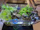 西游水族烏龜缸超白玻璃生態(tài)造景龜魚(yú)缸一體混養生態(tài)缸客廳專(zhuān)用家用飼養缸 40雨林豪華全套【缸+做好成品發(fā)貨+設備】 曬單實(shí)拍圖