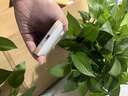 雅思戀 適用蘋果17手機(jī)殼透金散熱磁吸iphone17promax新款細(xì)圈磨砂16pro高級感15/14小眾17air四角防摔 【透金】 iphone  Air 曬單實(shí)拍圖