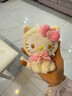 時(shí)鳥(niǎo)hello kitty掛件玩偶毛絨書(shū)包包掛件鑰匙扣鑰匙鏈女可愛(ài)高顏值 【KT掛件】 10cm 曬單實(shí)拍圖