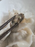 船歌魚(yú)水餃 鮑魚(yú)水餃250g/盒 12只 健康早餐夜宵 海鮮手工速凍餃子 生鮮速食 曬單實(shí)拍圖