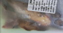 微山湖當天捕撈野生黃骨魚(yú)黃辣丁嘎魚(yú)凈膛海鮮水產(chǎn)生鮮魚(yú)類(lèi) 400g*2盒【8-12條】 曬單實(shí)拍圖