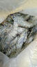 北海灣 高品質(zhì)活凍黑虎蝦 超大蝦類(lèi)大蝦生鮮老虎蝦冰鮮印度海蝦盒裝送禮 19-21cm【高品質(zhì)】 1000g(凈重) 曬單實(shí)拍圖