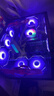 華碩全家桶【24期免息】RTX/5070/5060Ti/5060顯卡14600KF/230F臺式整機明日香mod機箱組裝電腦DIY主機 i5 12400F+華碩RTX5060 配置一 曬單實(shí)拍圖