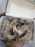 超大深海黑虎蝦越南進(jìn)口巨型特大蝦金剛蝦海鮮 斑節對蝦老虎蝦 1kg(凈重)  1盒【1盒41-50只】 曬單實(shí)拍圖