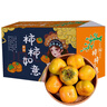 果陸園陽(yáng)豐脆柿新鮮水果柿子巧克力脆柿當季冰糖心黃甜脆柿子 整箱5斤單果120-180g凈重4.5斤 曬單實(shí)拍圖