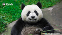 蕉下（beneunder）防曬衣防紫外線(xiàn)春夏季女士透氣冰薄戶(hù)外均碼 L【升級款】遠山灰 曬單實(shí)拍圖
