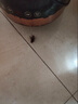 INSDCDOCTOR蟑螂藥特效強力全窩端蟲(chóng)卵雙殺家用滅蟑螂誘餌神器孕婦嬰兒可用5g 曬單實(shí)拍圖