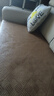 新品涼席貓抓皮沙發(fā)簡(jiǎn)約客廳布藝沙發(fā)冬暖夏涼科技布沙發(fā)冬夏兩用 2.2米/直排三位 涼席款-貓抓皮【乳膠版】 曬單實(shí)拍圖