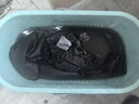 AMOKC染衣服染色劑黑色專(zhuān)用不褪色衣物染料免煮不掉色舊衣翻新還原套裝 曬單實(shí)拍圖