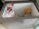 澳柯瑪家用商用冷藏柜冷凍柜兩用冰柜 一級能效小型冷柜母嬰母乳小冰箱 BC/BD-200AYYS 200L 銀河灰 曬單實(shí)拍圖