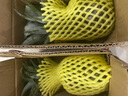 特價(jià)金鉆鳳梨新鮮大果菠蘿整箱水果風(fēng)梨手撕現貨直發(fā)脆甜多汁鳳梨 1個(gè)裝小果 單果400g起 曬單實(shí)拍圖