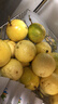 京鮮生欽蜜9號黃金百香果 3斤凈重70g+/15-21個(gè) 生鮮水果 源頭直發(fā) 曬單實(shí)拍圖
