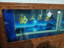 歐寶客廳魚(yú)缸水族箱 大型金龍魚(yú)缸玻璃家用新中式隔斷屏風(fēng)落地金魚(yú)缸 底過(guò)濾（加寬） 1.5米長(cháng) 曬單實(shí)拍圖