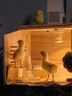 捕漁達人 蘆丁雞飼養箱40*30*30cm 寵物飼養箱觀(guān)賞籠子養殖恒溫箱鵪鶉窩籠 曬單實(shí)拍圖