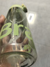 富光塑料杯兒童學(xué)生水杯雙飲Tritan男女夏季吸管杯高顏值便攜耐摔杯子 曬單實(shí)拍圖