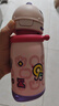 babycare兒童保溫杯嬰兒吸管水杯水壺不銹鋼保溫杯上學450ml-新舊款混發(fā) 曬單實拍圖