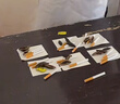 真維斯（Jeanswest）涼鞋男外穿2025夏季踩屎感兩用涼拖鞋男士休閑沙灘鞋 綠色  42/43 曬單實(shí)拍圖