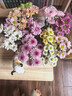 隨機混色小雛菊6支家庭養花云南基地鮮切花優(yōu)質(zhì)新鮮采摘 隨機混色小雛菊6支 曬單實(shí)拍圖