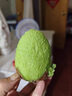 新鮮水果綠心獼猴桃當季整箱 單果60-70g 5斤（凈重4.5斤） 曬單實(shí)拍圖