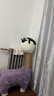 志高（CHIGO）電動(dòng)理發(fā)器理發(fā)推子電推剪 專(zhuān)業(yè)家用成人兒童嬰兒剃頭理發(fā)器剪發(fā)器剃頭刀自理發(fā)神器工具全套938Q 曬單實(shí)拍圖