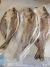 鮮京采三去海鱸魚(yú)3斤/3條 生鮮魚(yú)類(lèi) 白蕉鱸魚(yú)地標 中秋家宴魚(yú)類(lèi)源頭直發(fā) 曬單實(shí)拍圖