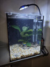 IXJSN超白魚(yú)缸客廳小型家用辦公室生態(tài)懶人全套造景迷你水草缸桌面斗魚(yú) 15.15.20爆款 裸缸過(guò)濾器夾燈 曬單實(shí)拍圖