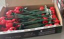 樂(lè )高（LEGO）10328 玫瑰花束 百變高手創(chuàng  )意成人粉絲收藏款積木玩具七夕禮物 曬單實(shí)拍圖