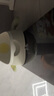 babycare兒童馬桶男寶寶小便器兒童站立式便盆1-3歲尿尿神器掛墻式 希瑟紫 曬單實(shí)拍圖