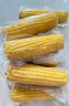 十月稻田 黃糯玉米 3.52斤(220g*8根) 25年新玉米 低脂 早餐零食 東北玉米 曬單實(shí)拍圖