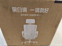 黑白調P1二代人體工學(xué)椅電腦椅子人工力學(xué)座椅久坐辦公電競椅學(xué)習椅國補 曬單實(shí)拍圖